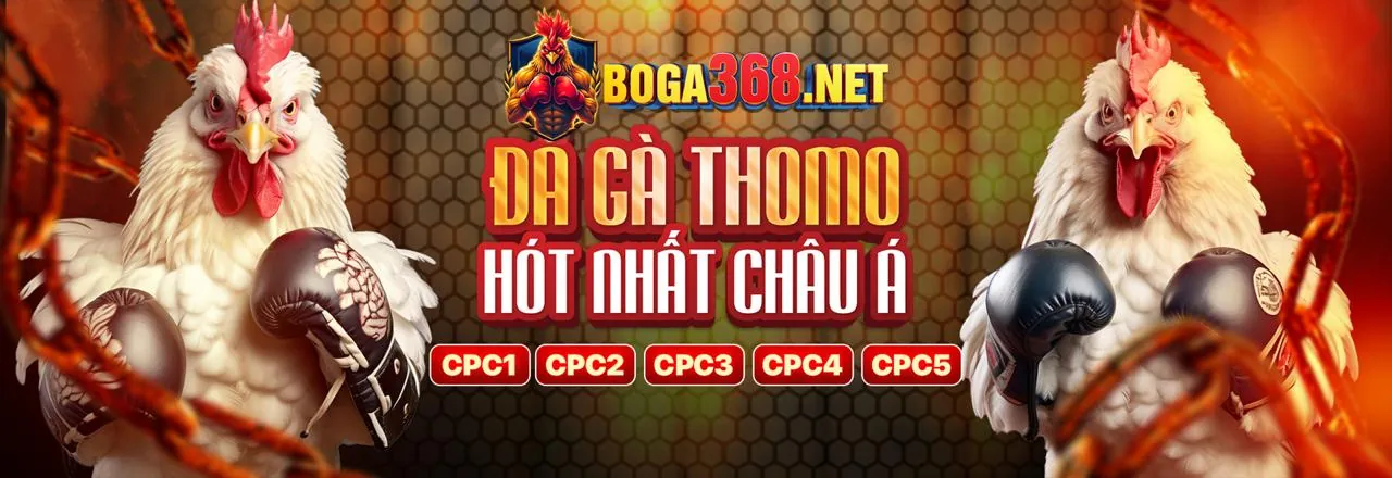 Ứng dụng di động typhu88 link mới với giao diện hiện đại