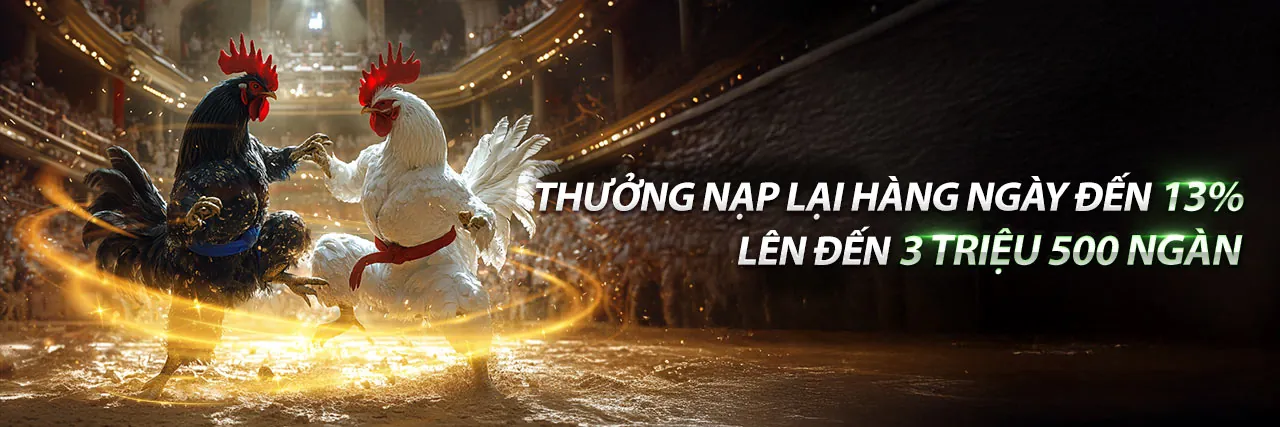 Đá gà trực tuyến kịch tính tại Typhu88 Link Mới