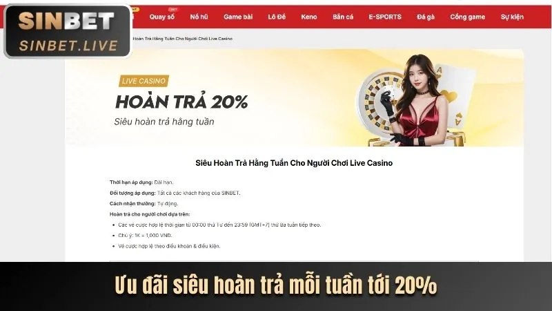 Đa dạng các loại hình cá cược thể thao tại typhu88 link mới